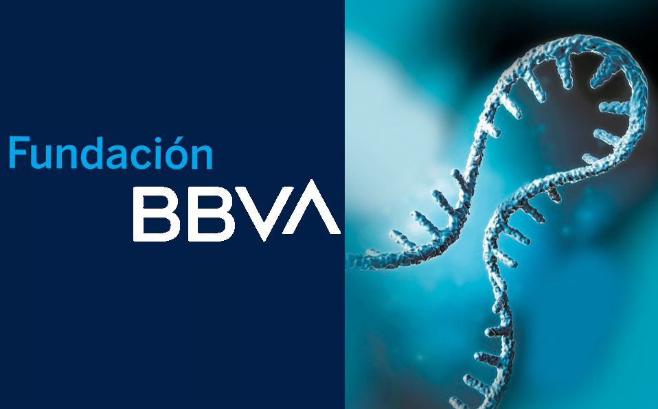 Los creadores de la tecnología ARNm, premiados por Fundación BBVA