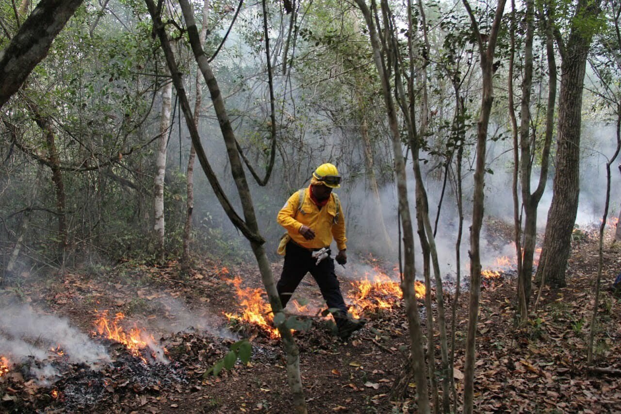 Temporada de incendios forestales, suma 11 en Q. Roo