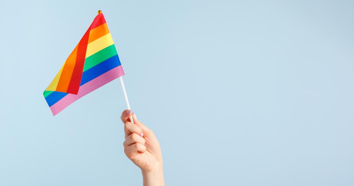 Partidos y coaliciones logran cumplir cuota LGBTI