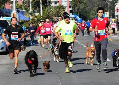 Carrera The Dog & Family Race se llevará a cabo en Playa del Carmen