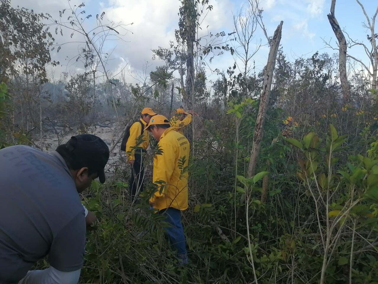 Incendio en Tulum ocasiona evacuación de familias