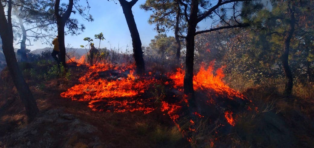 Jalisco en alerta atmosférica por humo de incendios