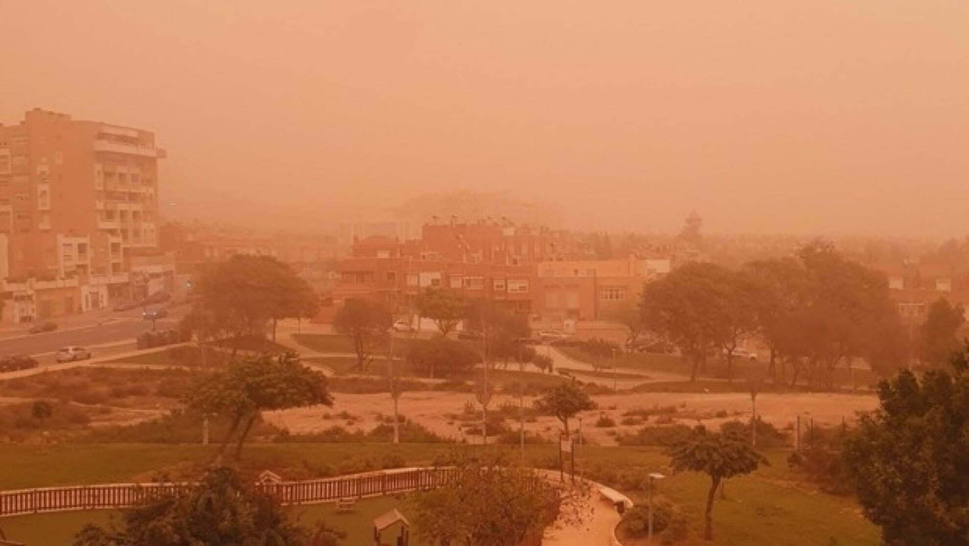 Polvo del Sahara regresa a México ¿Debo prepararme?