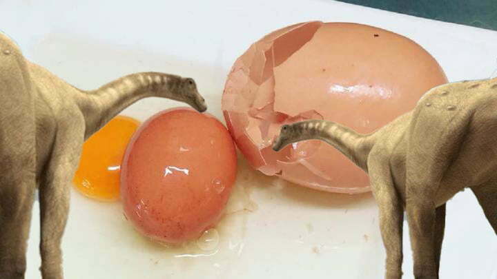 Encuentra huevo de dinosaurio que tenia otro huevo dentro