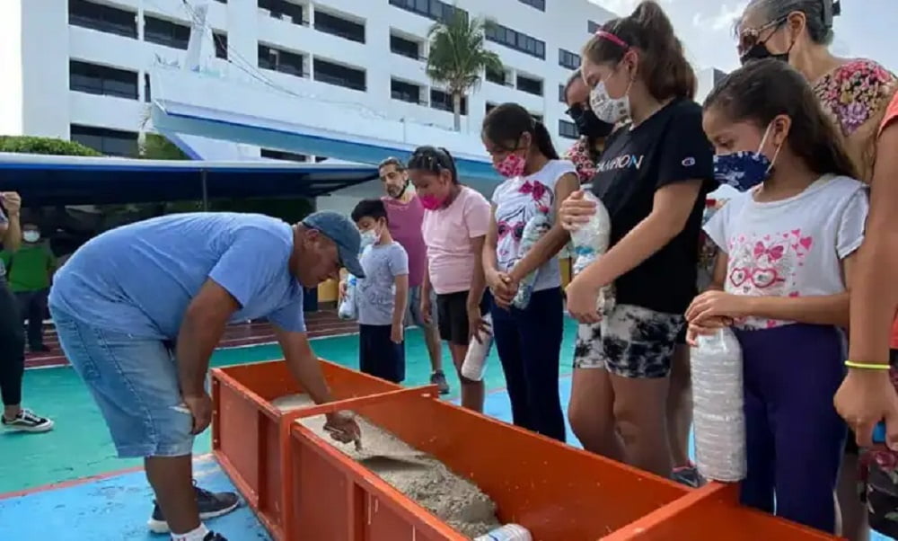 Construyen Eco-bancas para ayudar al medio ambiente