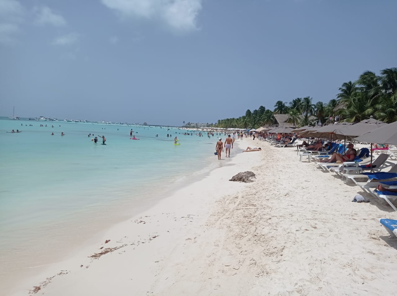 Recuperan certificación Blue Flag, playas de Isla Mujeres