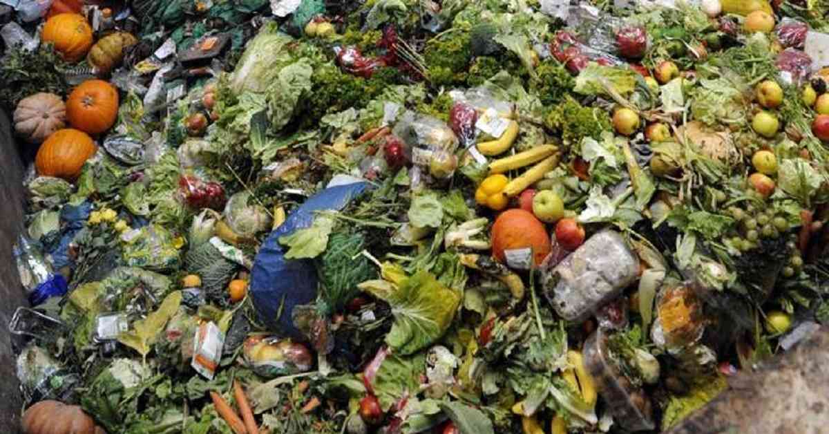 Casi el 20% de los alimentos del mundo terminan en basureros