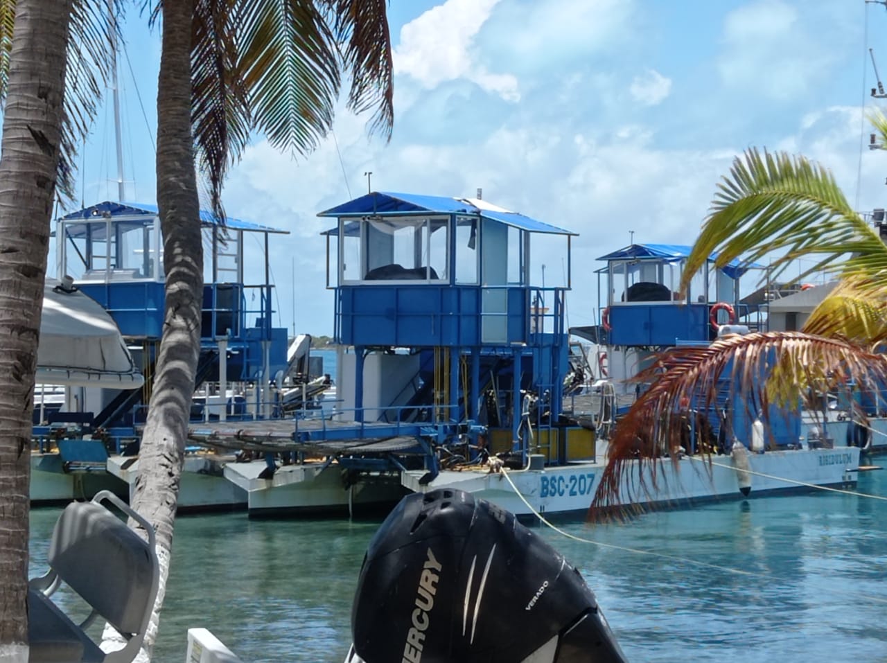 Sargaceras sin usarse y varadas en Isla Mujeres