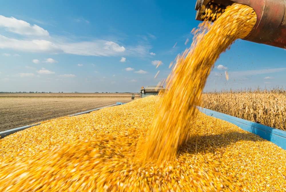 Rusia pide se le levanten sanciones para exportar granos