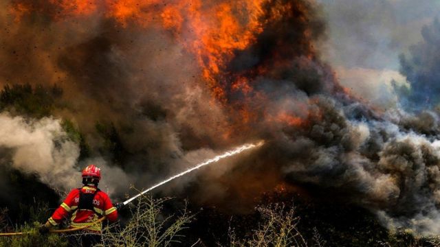 Ola de calor e incendios forestales atacan Europa