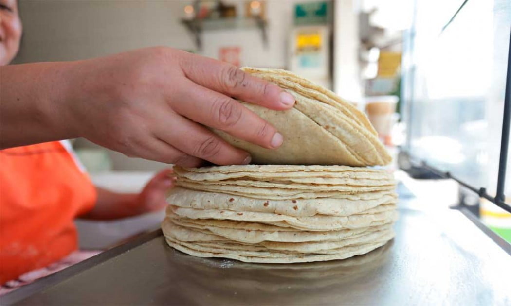 Hasta 27 pesos podría costar el kilo de tortilla en Cancún