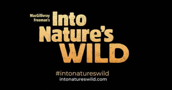Exhibirán en cines de Cancún “Into Nature’s Wild”, documental narrado por Morgan Freeman