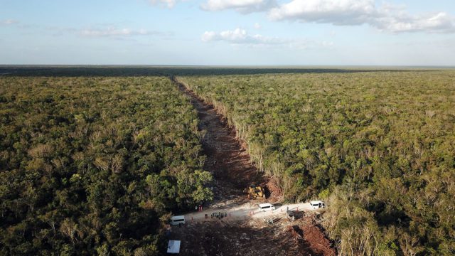 Revocan 3 de las 6 suspensiones del tramo 5 del Tren Maya