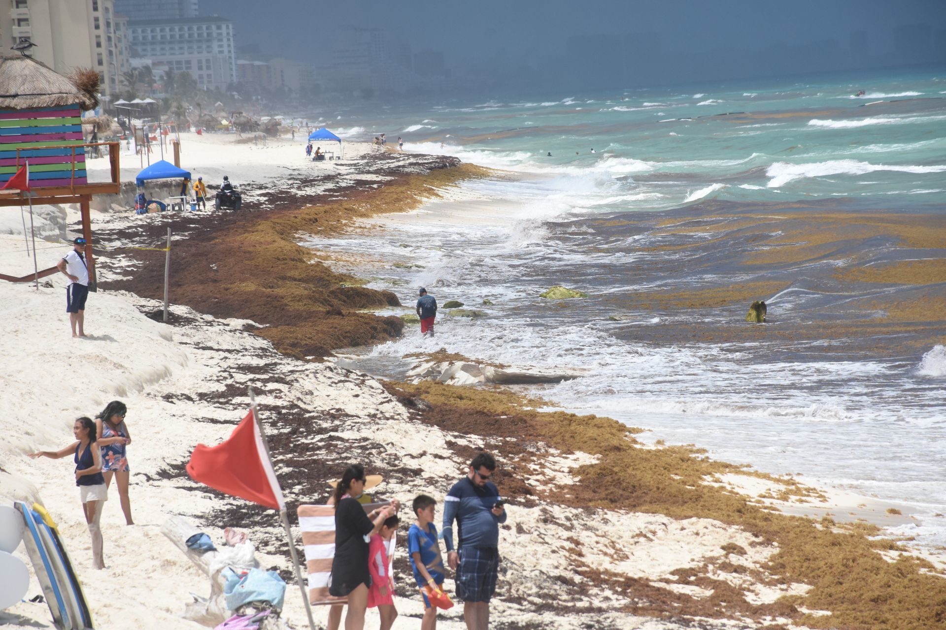 Por mal tiempo gran mancha de sargazo podría recalar en playas de Cancún