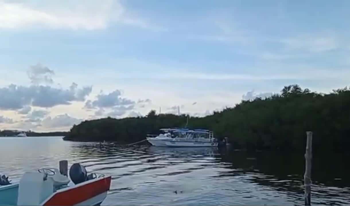 Pescadores piden a desarrolladoras detener depredación del manglar en Isla Mujeres