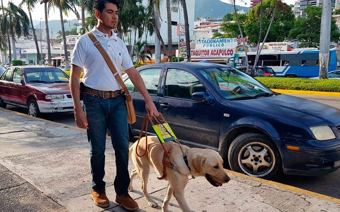 Guadalajara realizará Encuentro Internacional de Perros Guía