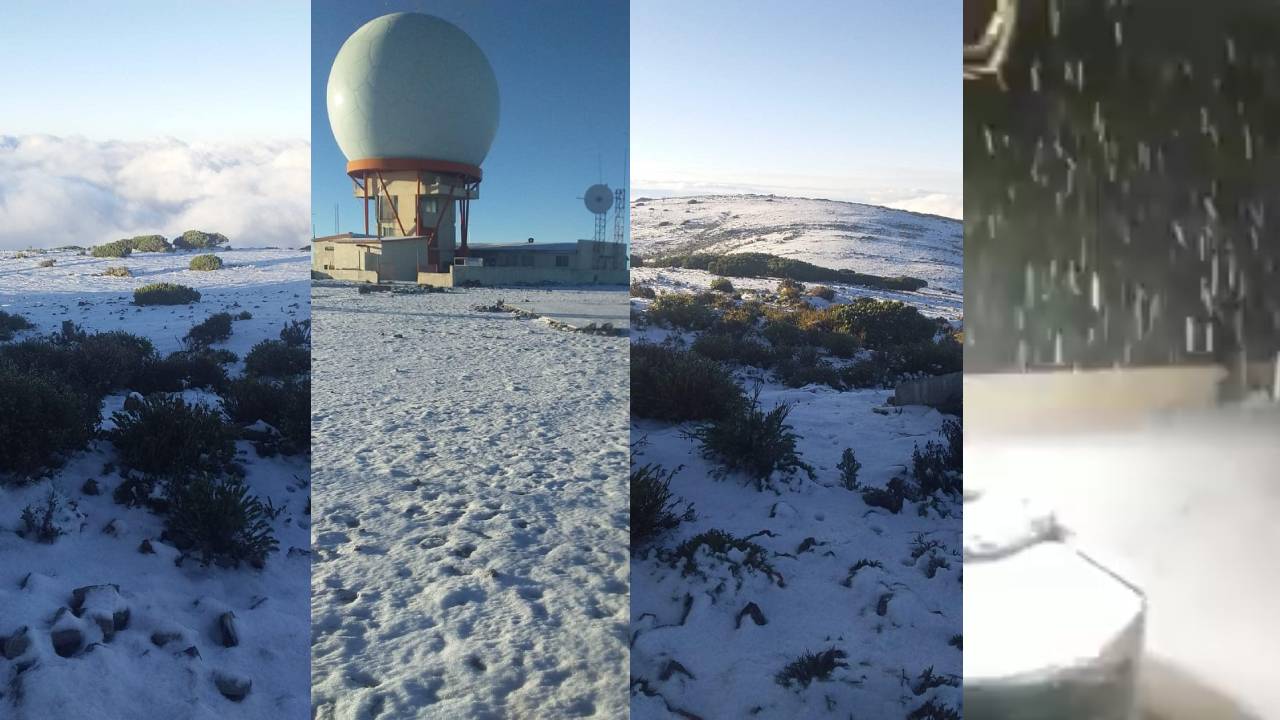 VIDEO: Así se vio la primera nevada en Nuevo León