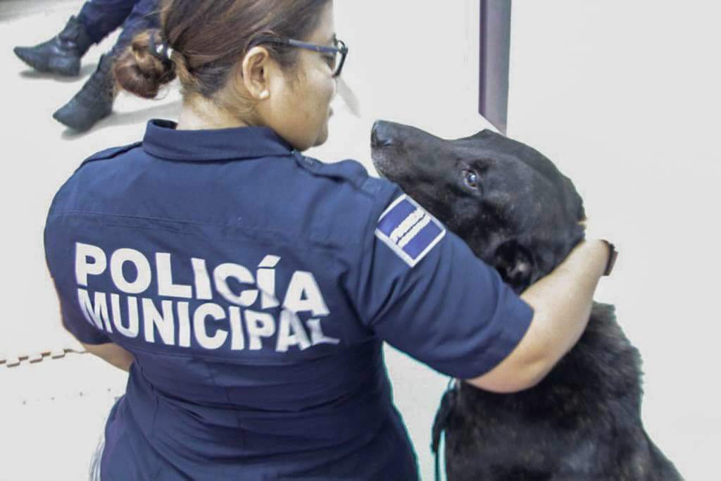 Gobierno de Lili Campos renueva y humaniza a la policía municipal
