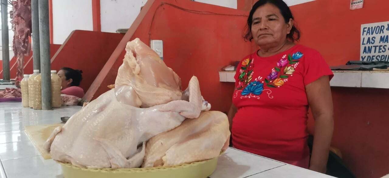 Por gripe aviar en Yucatán prevén reducción de oferta de pollo en Quintana Roo