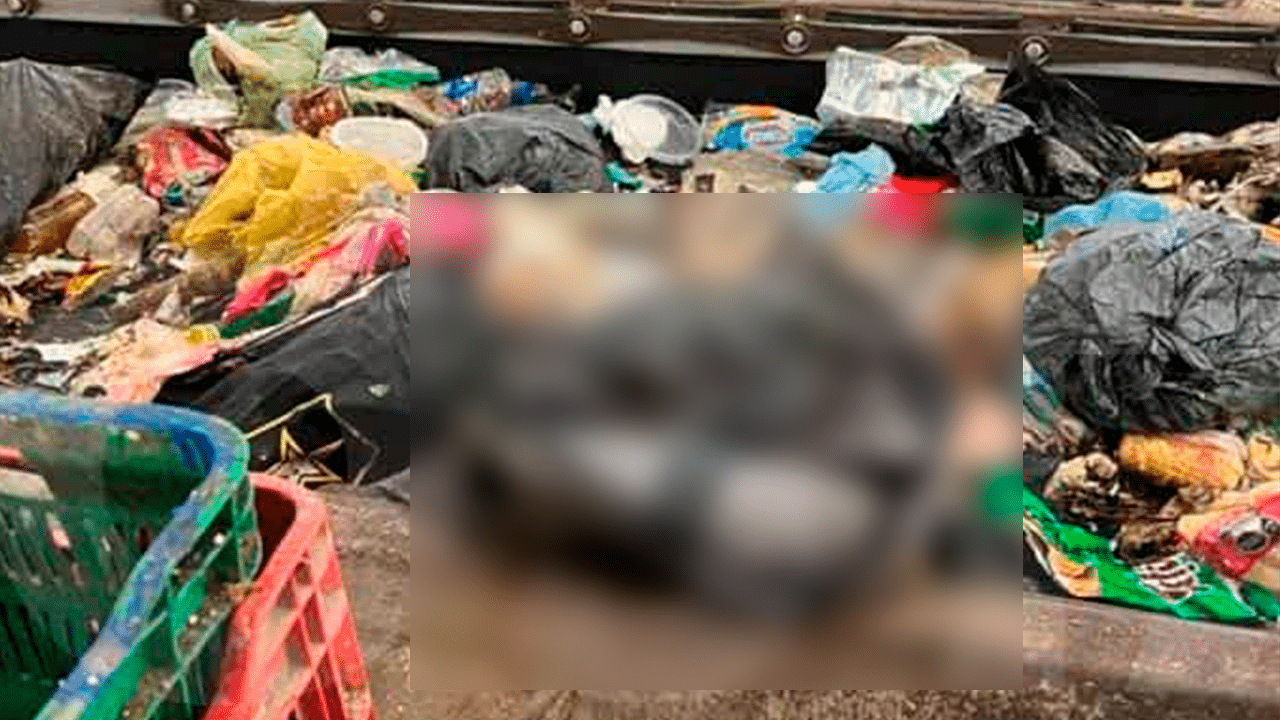 Encuentran cuerpo de bebé en basurero de Nuevo León