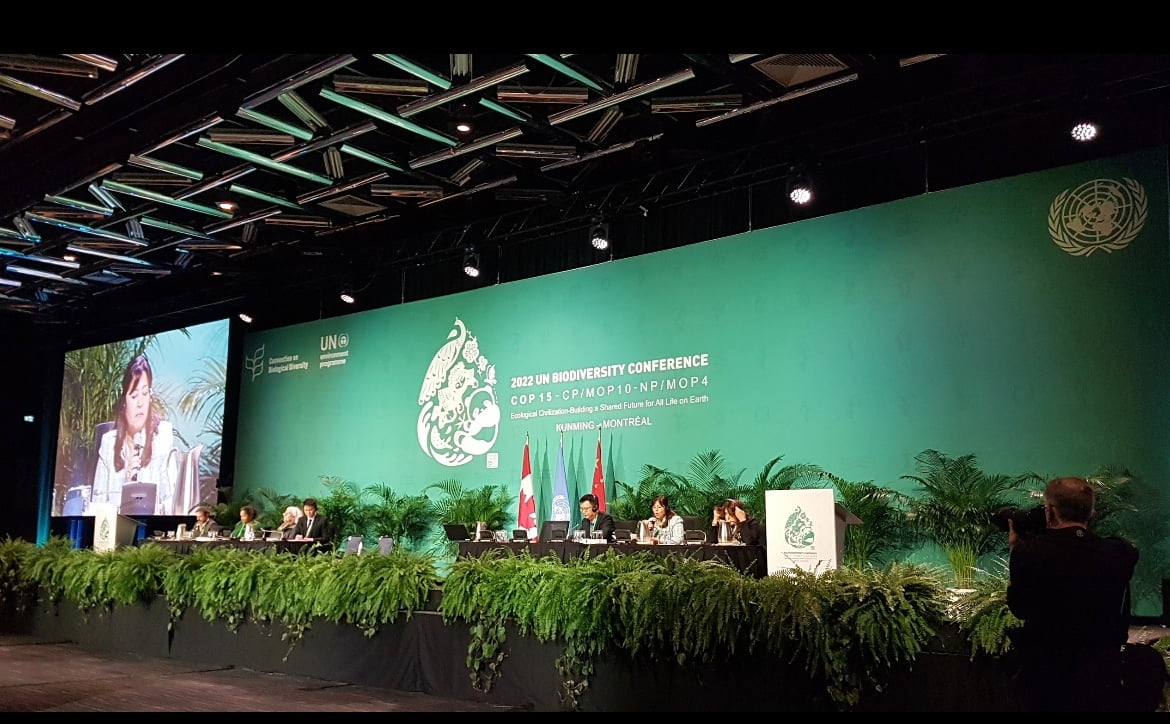 Mara Lezama firma la Declaratoria de Gobiernos Subnacionales en la COP 15
