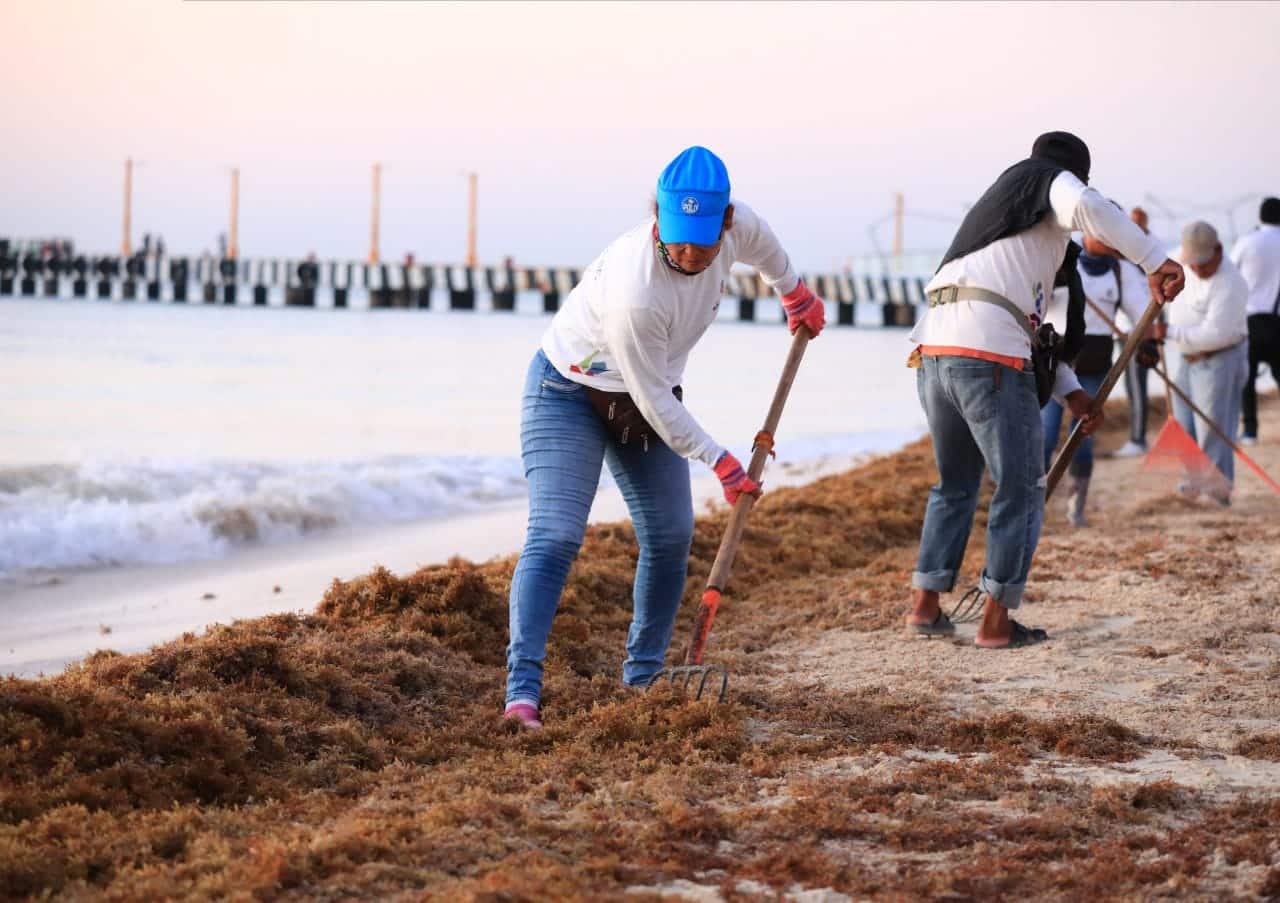 Limpieza de playas, prioridad de Lili Campos