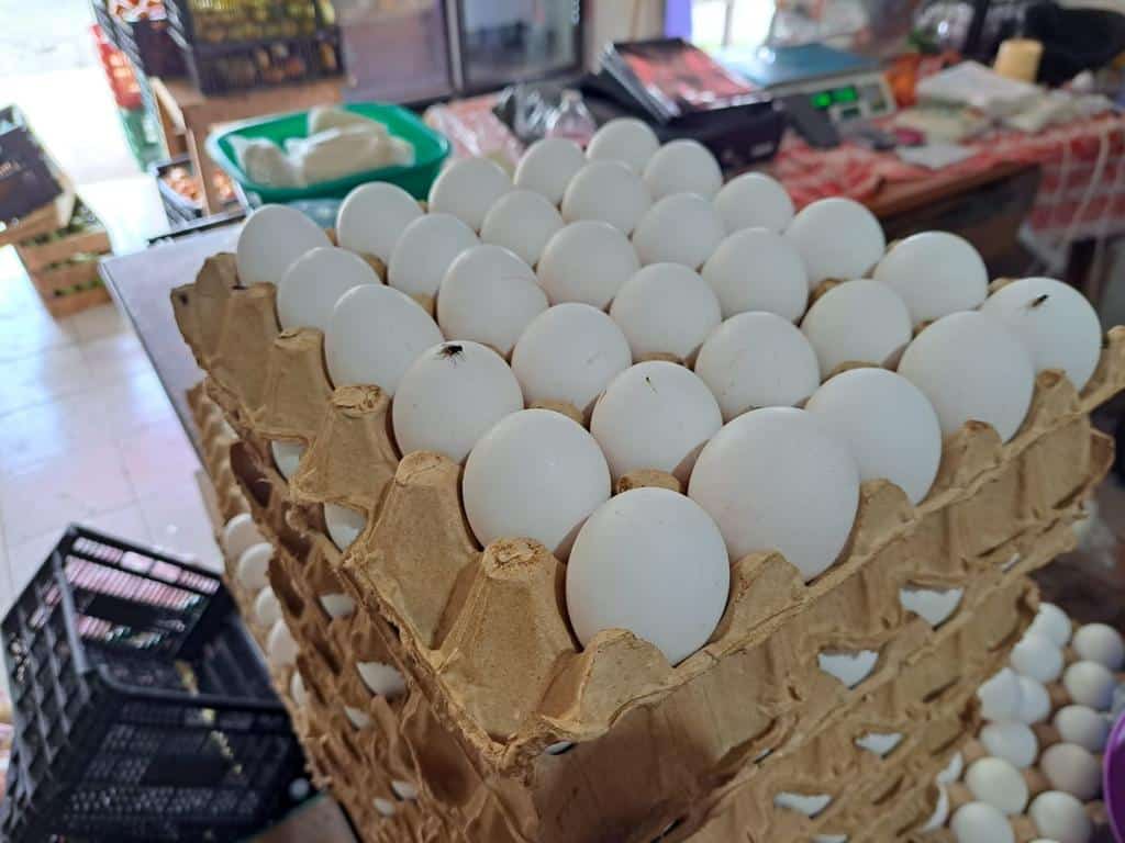 Sube precio del huevo en FCP por gripe aviar en Yucatán