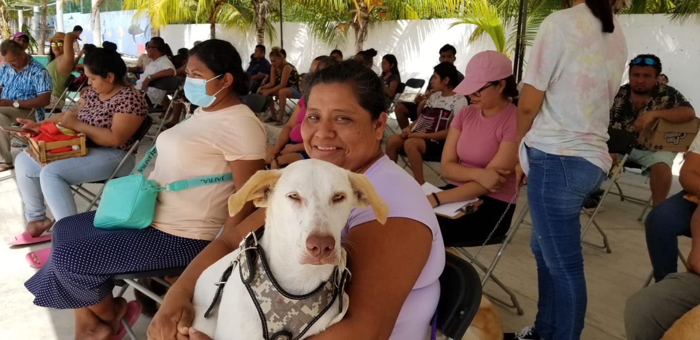 Dispondrán de brigadas para registrar mascotas en Cancún