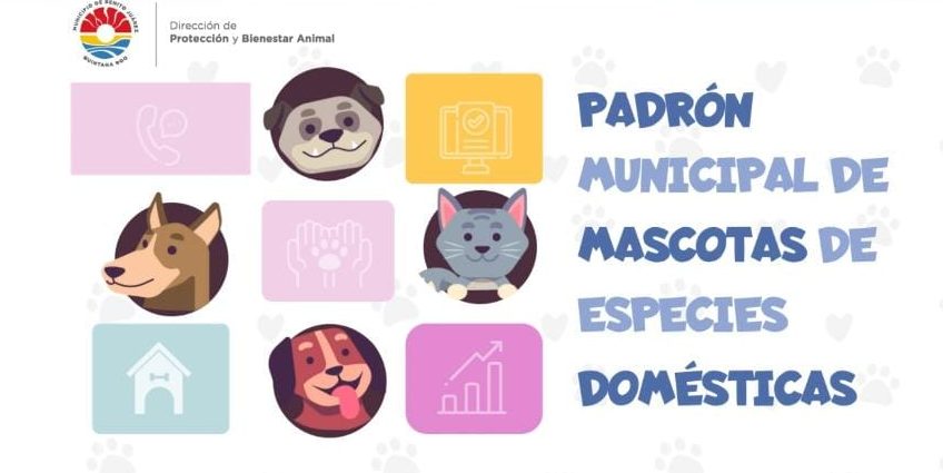 Alistan plataforma para registrar a mascotas en Cancún