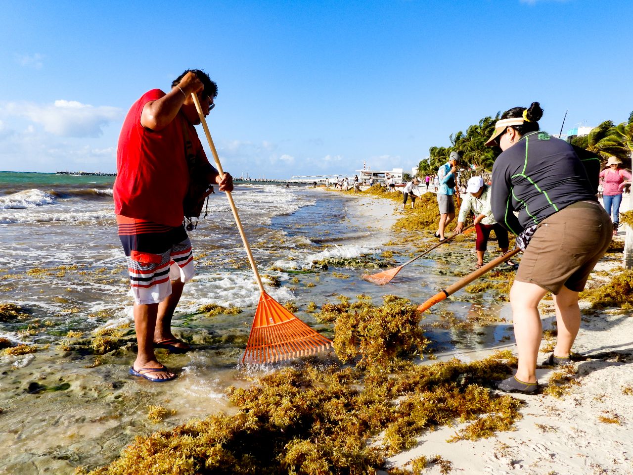 Gobierno intensifica limpieza de playas