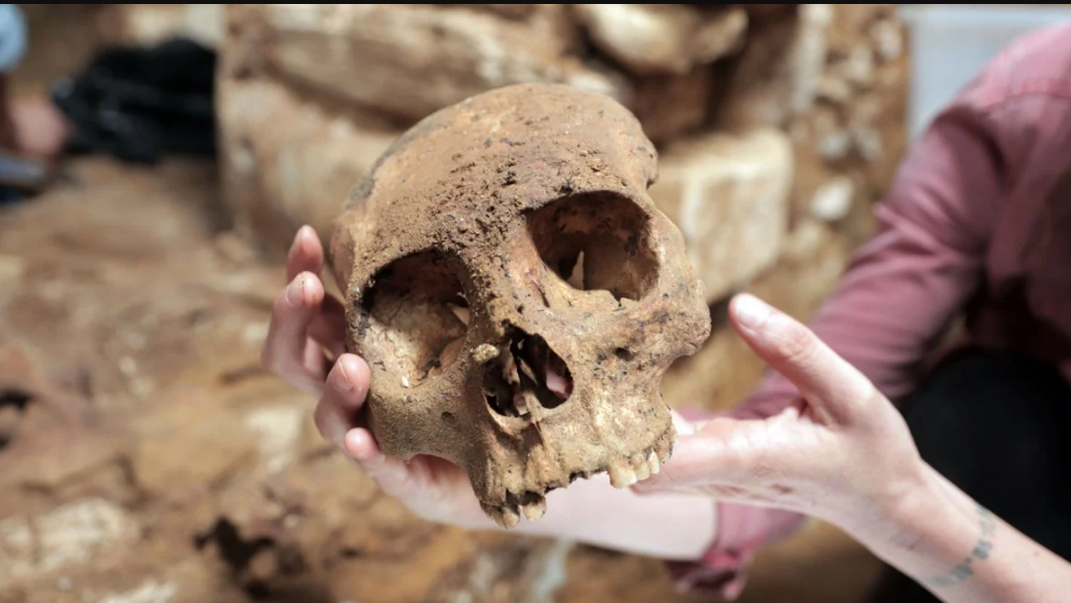 Arqueólogos hallan cámara funeraria en Palenque