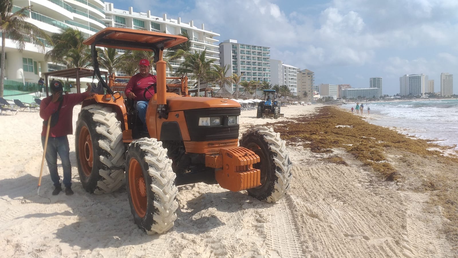 Más de mil 600 toneladas de sargazo han sido recolectadas en Cancún
