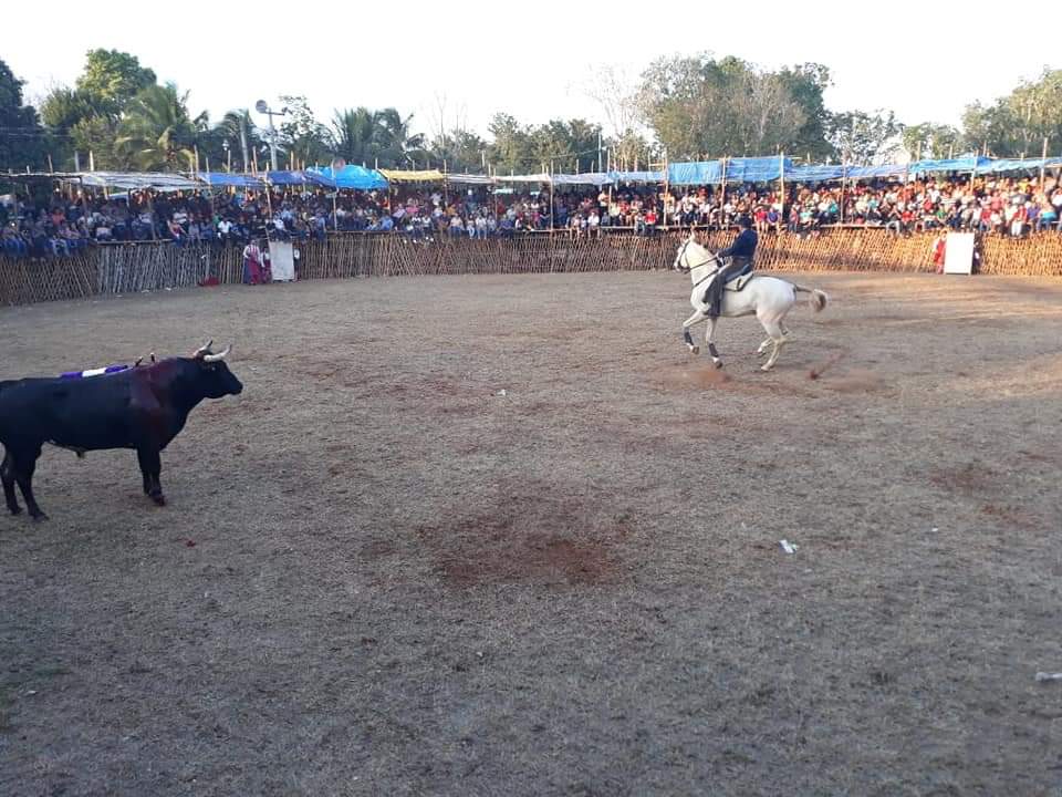 Desecha Congreso iniciativa para permitir corridas de toros