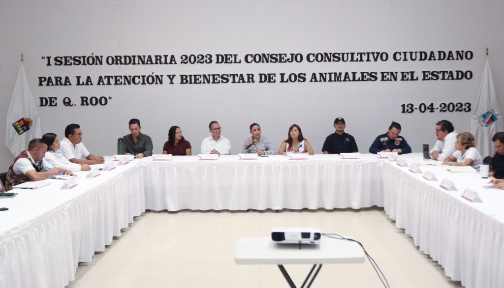 Puerto Morelos reactiva sesiones del Consejo Consultivo Ciudadano para la Atención y Bienestar de los Animales.