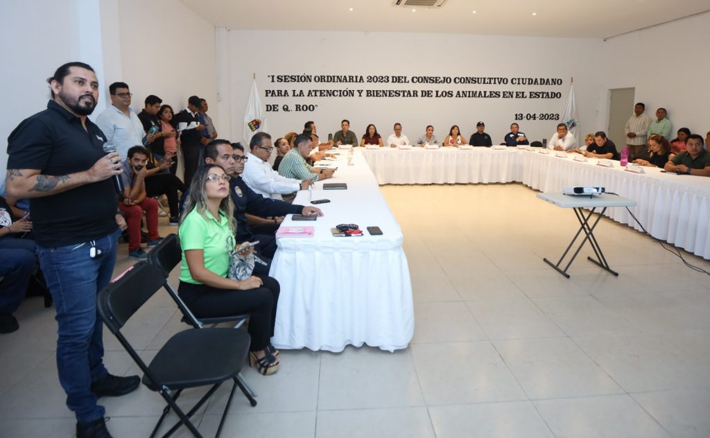 Puerto Morelos reactiva sesiones del Consejo Consultivo Ciudadano para la Atención y Bienestar de los Animales.