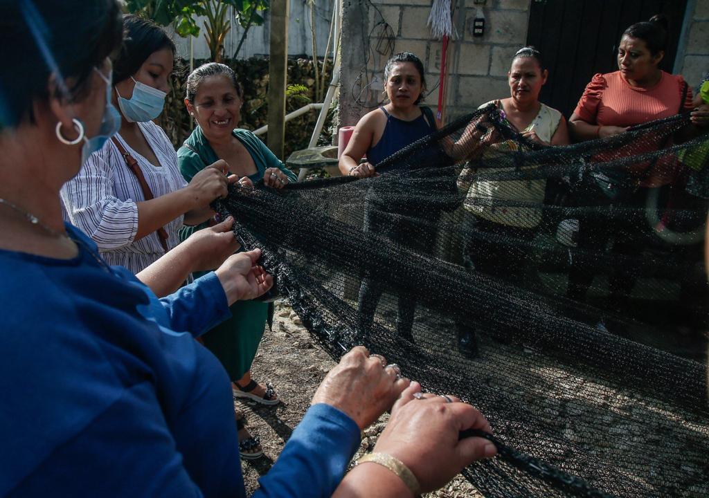 Lanza Gobierno de Quintana Roo convocatorias para fortalecer los Huertos del Bienestar