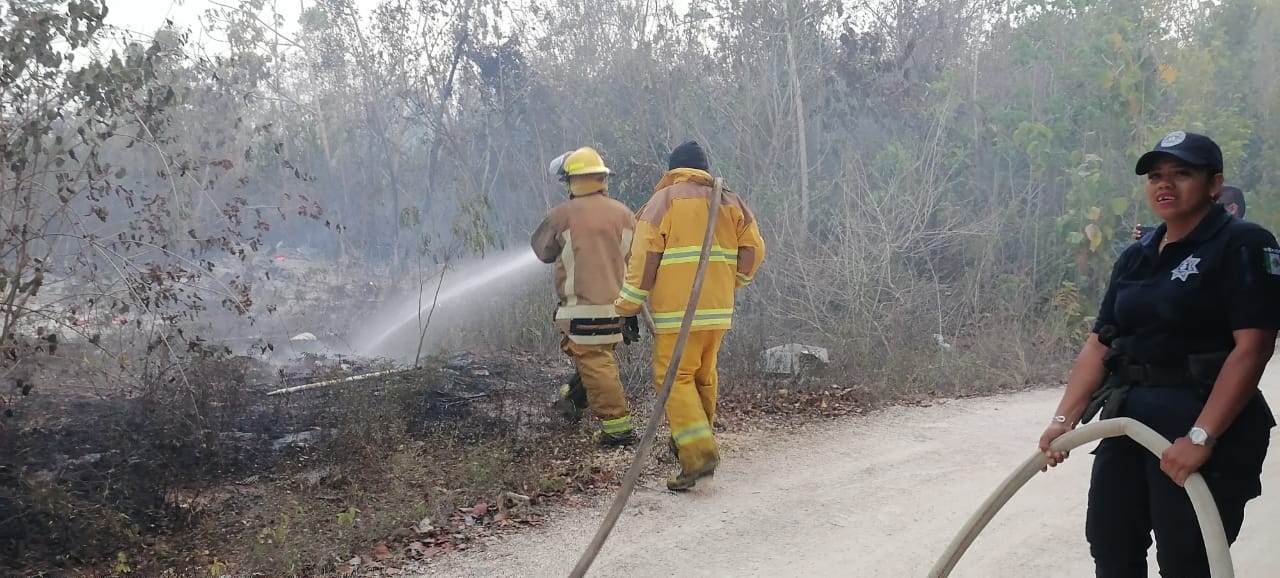 Controlan incendio en Zona Agrícola de Isla Mujeres