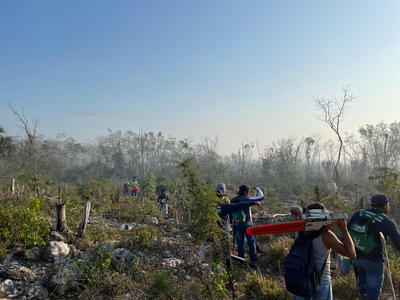 Combaten dos incendios forestales en Tulum