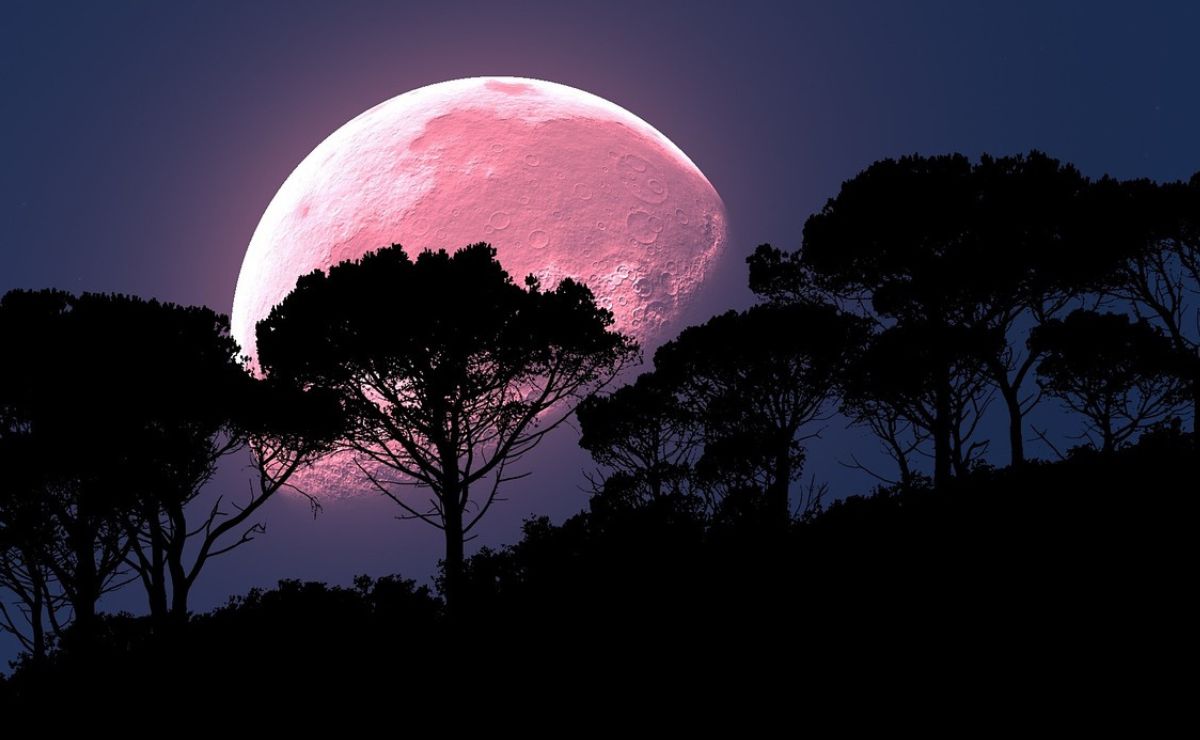 Se acerca el día para poder ver el efecto de la Luna rosa