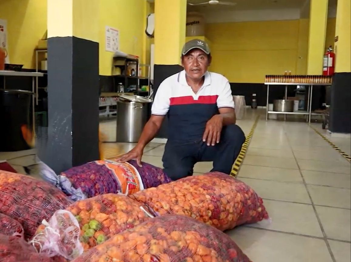 Exitosa vinculación comercial entre productores de chile habanero en Kantunilkín y empresas locales