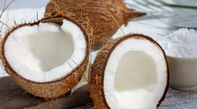 Crece en un 10% transformación del coco a productos derivados, en Chetumal