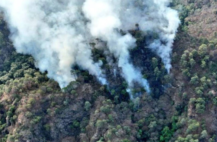 Reportan 95 incendios forestales activos en México