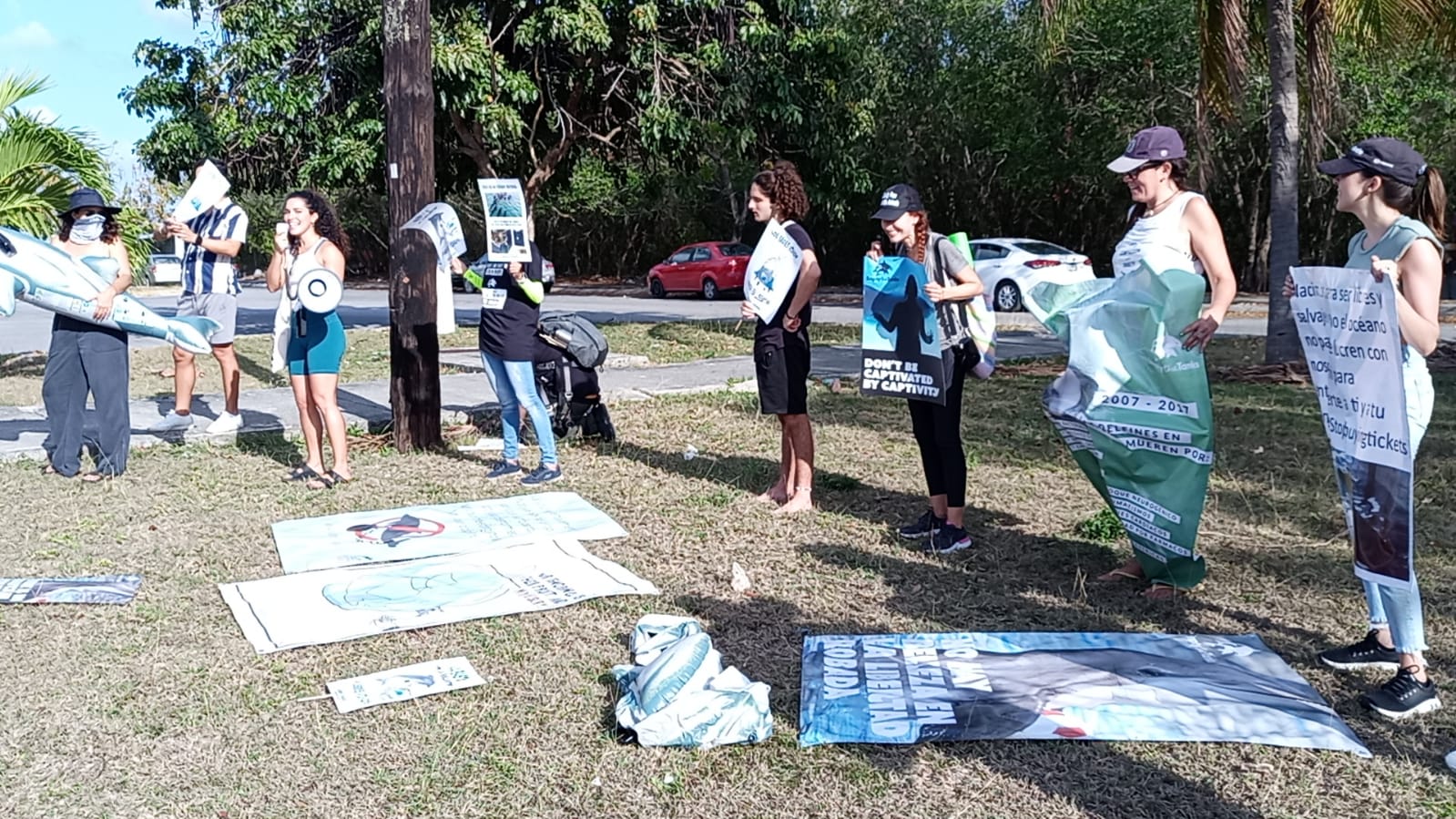 Protestan contra delfinarios en Cancún