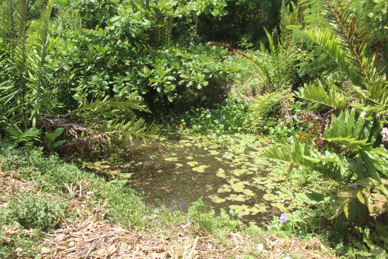 Comité del “Río Chacmuchuch” señala a autoridades de dejar morir la laguna