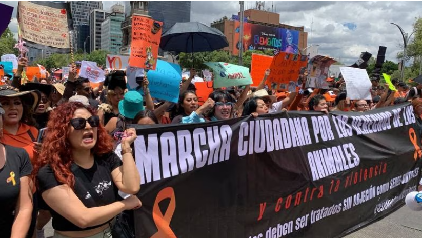 Marcha Ciudadana contra el maltrato animal parte del Ángel rumbo al Zócalo