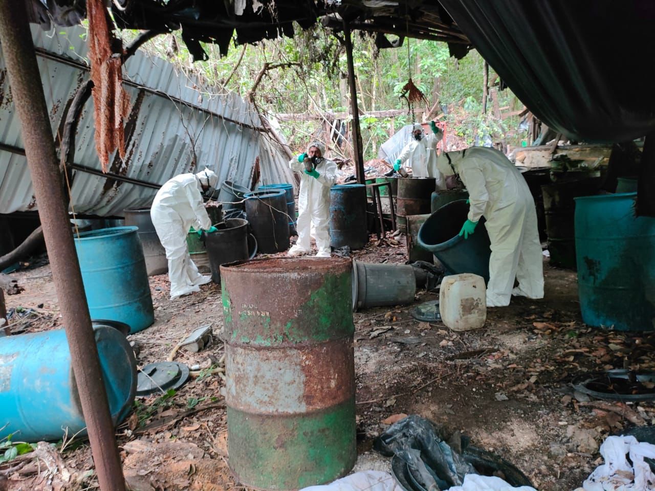 Localizan y destruyen ‘narcolaboratorio’ en Felipe Carrillo Puerto