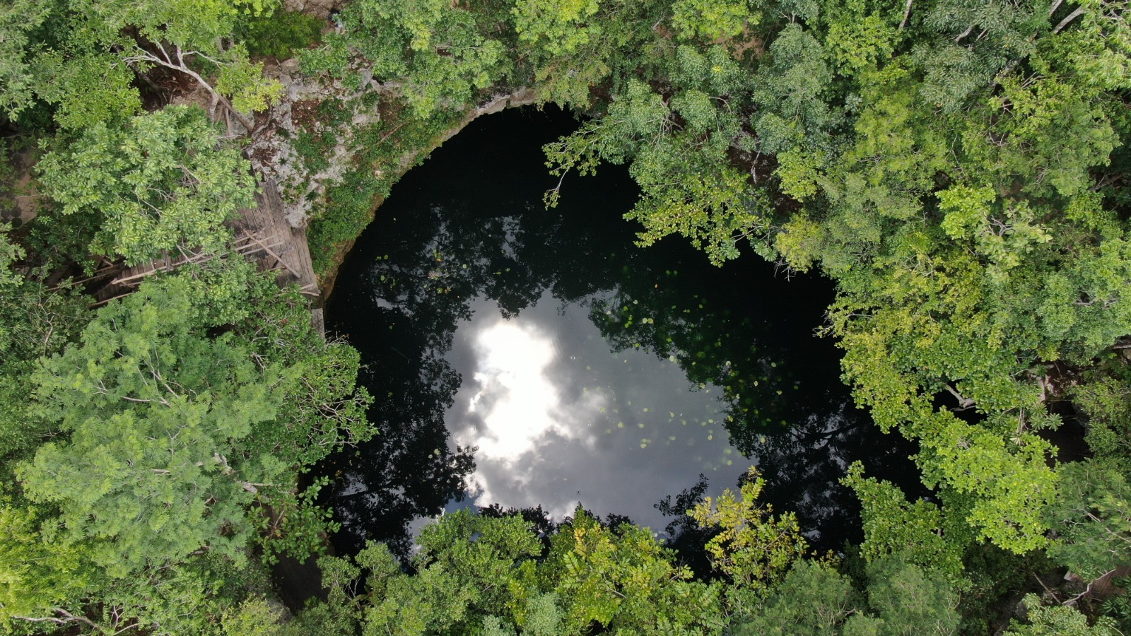 Anuncian el conversatorio “El desarrollo sustentable de Quintana Roo, caso Ruta de los Cenotes en Puerto Morelos