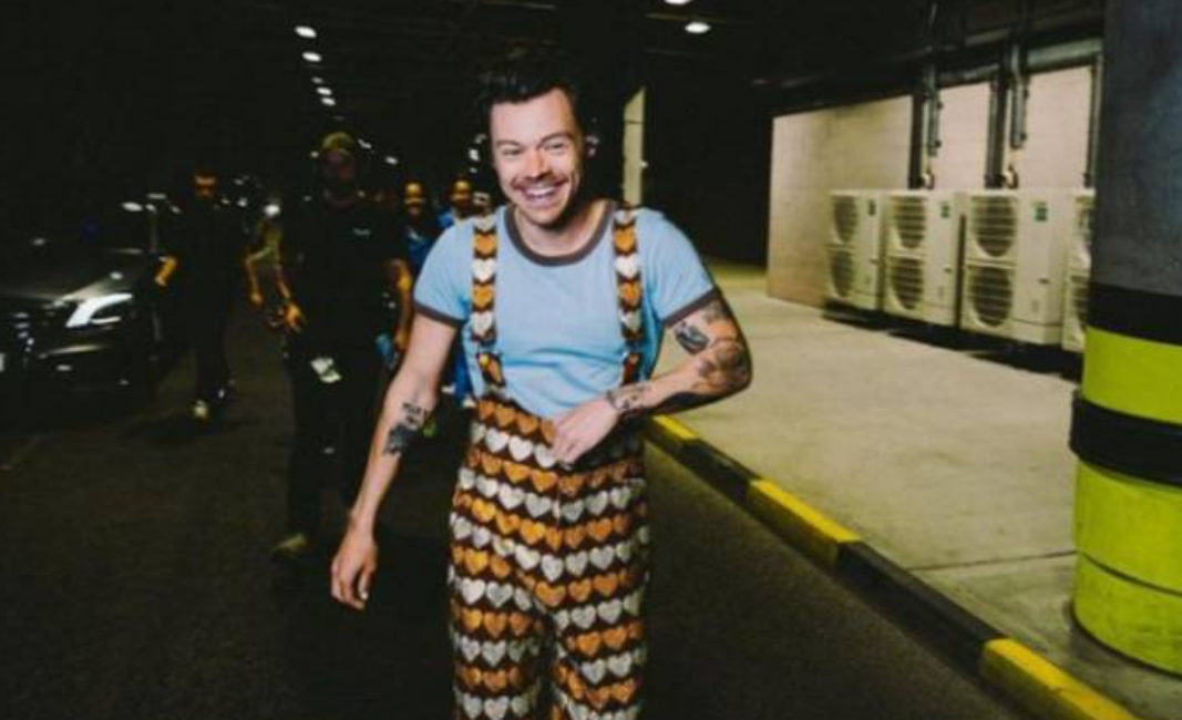 Harry Styles es golpeado en el ojo durante un concierto