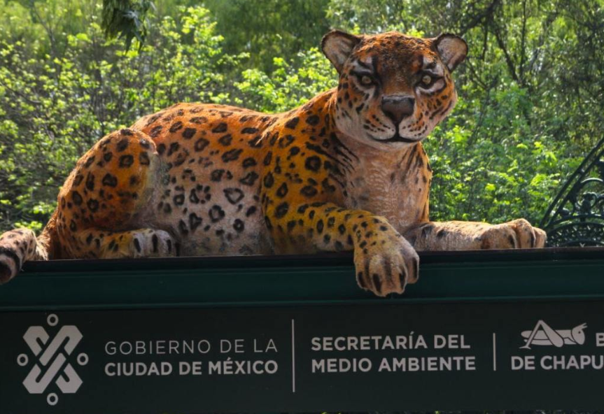 Celebran 100 años del Zoológico de Chapultepec