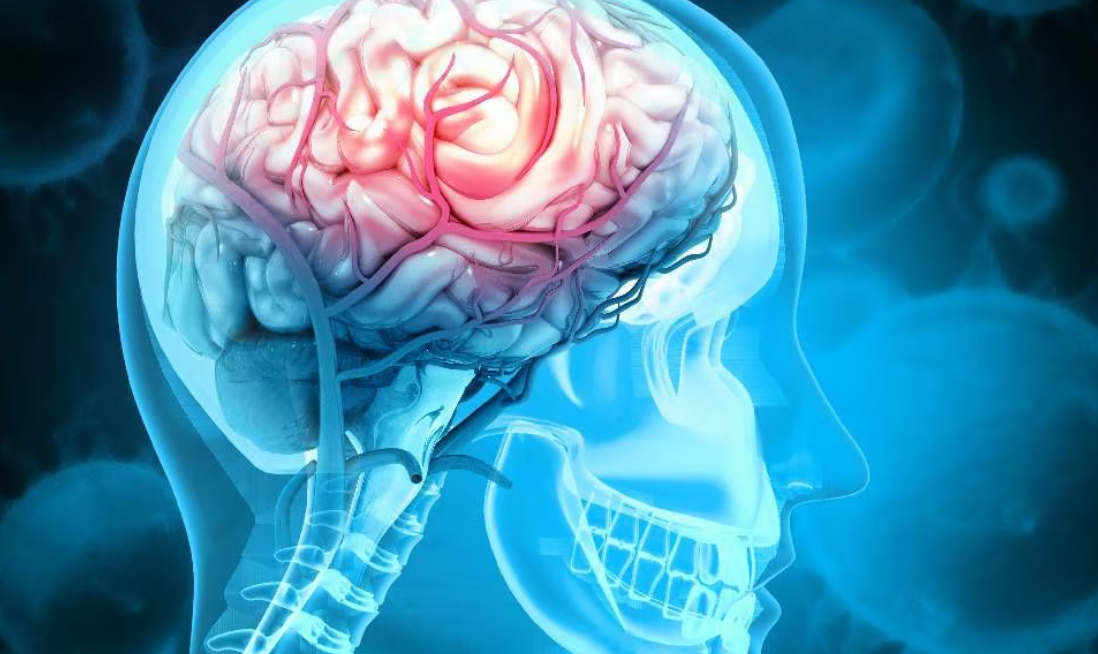 Fruta que se debe consumir para mantener el cerebro joven